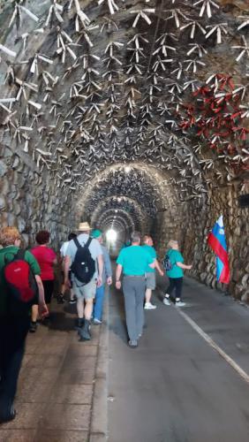 Skozi tunel Kostanjevica.